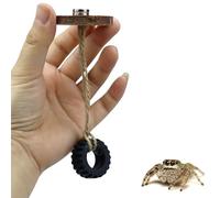 2 Pack Jumping Spider Swing with Magnets for Spoods Pet Spider Jumping Spider Hide Jumping Spider Enclosure Accessories
