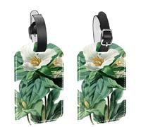 2 Pack Luggage Tags for Suitcases, Cute Flower with Large Green Leaves Privacy Cover ID Label Leather Bag Tags Identifiers for Baggage Travel Essentials Bag