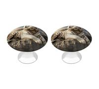 2 Pack Majestic Tiger Resting on A Rock with Cloudy Cabinet Knobs Round 1.1" X 0.8" - Stainless Steel Drawer Pulls Minimalism Drawer Knobs Cabinet Hardware for Kitchen, Furniture Doors & Drawers