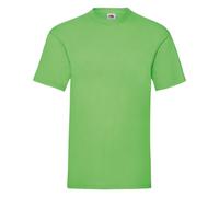 2 Pack Mens Plain T-Shirts Crew Neck Short Sleeve Fruit Of The Loom Tees S-5XL