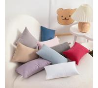 2 Pack Microfiber Soft Tiny Pillows Machine Washable Travel Pillows 11" X 7" Red Pillowcase Cotton No Irritation and Comfort to Skin Durable