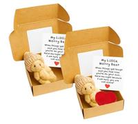 2 Pack Mini Worry Bear in a Box Set with Plush Heart and Cozy Design, Emotional Support Pocket Plush for Stress Relief and Comfort Gifting
