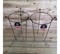 2 Pack of Tom Chambers Cottage Heavy Duty Black Metal Steel Herbaceous Garden Plant Support Ring 60cm x 35cm Samuel Alexander Black One Size