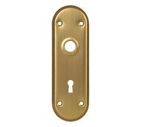 2 Pack Oval Mortise Lock Door Plates for Interior Doors, Old Style Mortise Door Knob Backplate Replacement, Antique Brass Door Escutcheon Plates