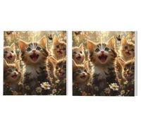 2 Pack Paint by Numbers Kits, Adults Paint by Number Kit, Cute Cat, with 3 Paintbrushes and Acrylic Paints, DIY Home Wall Decor Art, Ladies' Gift (Frameless) 90x90cm L1DY-497