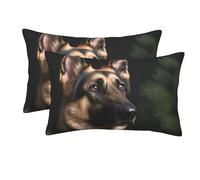 2 Pack Pillow Cases with Hidden Zipper, Soft Breathable Pillowcase for Hair and Skin, 16"x24" Pillow Covers for Sleeping Gift Bed Pillow Case German Shepherd Pillowcases