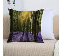 2 Pack Polyester Pillowcases,Woodland Set,Sun Illuminates A Carpet of Bluebells Blooms Deep in Woodland in Oxfordshire,B,Super Soft and Cozy, Wrinkle, Fade, Envelope Closure Bed Pillow Cases, 45x45 cm