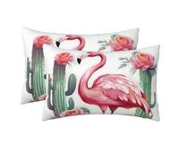 2 Pack Queen Size Pillow Cases for Hair and Skin Soft Breathable Pillow Case Covers with Hidden Zipper Cactus Flamingo Rose Flowers Pillowcase 20x30 Inches Pillow Cover for Sleeping Gift
