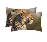 2 Pack Queen Size Pillow Cases with Hidden Closure Wild Animal Leopard Pillow Cover 20x30 Inches Soft Breathable Pillowcase for Hair and Skin Pillowcase Covers for Sleeping Gift