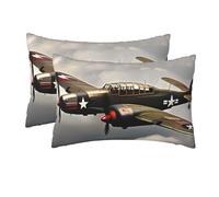 2 Pack Queen Size Pillow Cases with Zipper, Soft Breathable Pillowcase for Hair and Skin, 20"x30" Pillow Covers for Sleeping Gift Bed Pillow Case World War 2 Aircraft Airplane Pillowcases