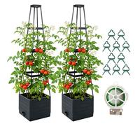 2 Pack Raised Garden Bed Planter Box with Trellis, 57'' Self Watering Tomato Planters for Climbing Plants, Tomato Cage Trellis for Vegetables & Vine Flowers Indoor Outdoor Patio