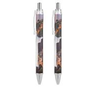 2 Pack Retractable Black Ballpoint Pens for Smooth Writing 0.5mm Fine Point Fineliner Refillable Quick Dry Gel Ink Rio Christ The Redeemer City Rollerball Pens Comfort Grip for Journaling Note Tak