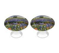 2 Pack Round Cabinet Knobs, 1.1" Metal Decorative Drawer Pulls for Kitchen | Stainless Steel, Single Hole, Easy Install, Texas Bluebonnets Scenery Drawer Knobs for Dresser Wardrobe Cupboard