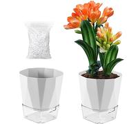 2 Pack Self Watering Pots for Plants, 8.4" Self Watering Planters Large African Violet Self Watering Clear Pots for Plants Large Herb Orchid Flower Houseplant Pots, Light Grey