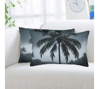 2 Pack Standard Pillowcases Sets, Ultra Soft Comfort Microfiber Plush Pillow Cases Plam Tree Decorative Throw Pillow Cover with Hidden Zipper for Bedroom, Sofa, Couch,14"X20"