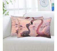 2 Pack Standard Pillowcases Sets, Ultra Soft Comfort Microfiber Plush Pillow Cases Pretty Sunset Pink Flamingo Decorative Throw Pillow Cover with Hidden Zipper for Bedroom, Sofa, Couch,14"X20"