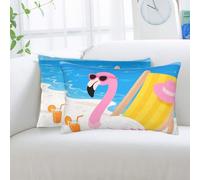 2 Pack Standard Pillowcases Sets, Ultra Soft Comfort Microfiber Plush Pillow Cases Tropical Flamingo Cartoon Decorative Throw Pillow Cover with Hidden Zipper for Bedroom, Sofa, Couch,20"X30"