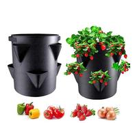 2 Pack Strawberry Planter Outdoor, Strawberry Garden Planting Pots With 6 Side Grow Pockets, Breathable 7 Gallon Portable Planter Bag For Indoor Outdoor