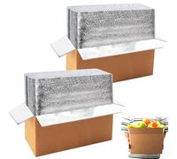 2 Pack Thermo Chill Double Insulated Shipping Box with Aluminum Foil Insulated Bag Liner, Reusable Hot & Frozen Food Delivery Insulated Carton for Shipping, Mailing, Packing, Moving, 12.2x5.2x7.5 Inch