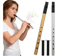 2 Pack Tin Whistle, Premium D Key Irish 6-Hole Penny Whistle for Traditional Celtic & Folk Music, Ideal for Beginners to Experts (Gold & Silver)