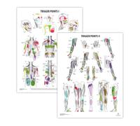 2 PACK Trigger Points I & II Poster Set, LAMINATED, Anatomy and Physiology Poster, 17.3 x 22.5 Inches, Trigger Points Diagram, Human Anatomical Chart, Extremity Trigger Points
