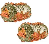 2 Pack Trixie Natural Small Animal Hay Bale Rabbit Guinea Pig Edible Treat Snack