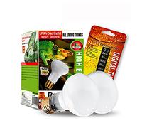 2 Pack UV Reptile Heat Lamp for Heat Lamp Glass Cover for Lizard, Turtle, Bearded Dragon, Hedgehogs, Reptiles and Amphibians with Adhesive Digital Temperature Thermometer.