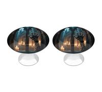 2 Pack Witch Castle Cabinet Knobs Round 1.1" Stainless Steel Dresser Knobs Single Hole Knob with Screws Door Pulls Handles Kitchen Hardware for Bathroom Cupboard Closet Door Wardrobe