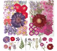 2 Packs 22 Types 100Pcs Dried Pressed Flowers,Real Pressed Flowers Dry Leaves Bulk Natural Herbs Kit for DIY Art Crafts, Resin, Jewelry, Soap, Candle, Scrapbooking,Papermaking Supplies