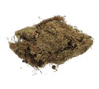 2 Packs Natural Moss Bedding for Hamsters, Green 100g