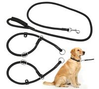 2 Pcs 60cm Slip Collar for Dogs, Slip Lead for Dogs with Movable Limiter 1.2cm Thick Strong, Prong Collars for Medium Large Small Dog Training, Obedience Walking Pet Control