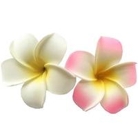 2 Pcs 7Cm White and Pink Hawaiian Frangipani Plumeria Clips and Barrettes Foam Head Flower Party Beach Hair Clip Hair Clips Hair Accessories