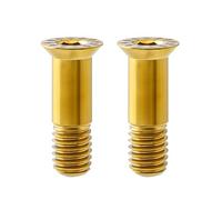 2 Pcs Bicycle Rear Derailleur Screw Pulley Guide Wheel Fixed Bolt Pulley Bolt for Mountain Road Bike Bicycle Adjustable Tension Resistant High Strength Easy Installation and Replacement