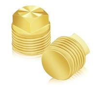 2 Pcs Boat Drain Plug, Solid Brass Boat Plug 1/2 Inch NPT Boat Plugs Hull Spare Garboard Drain Plug Compatible with Glastron Bayliner Sea Ray Four Winns Starcraft Boat Parts, Suitable for Most Hulls