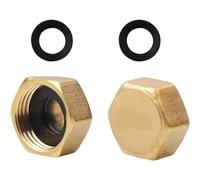 2 Pcs Brass Blanking Cap Radiator Valve caps, Plumbing Fittings, 3/4" Inch Hex Brass Blanking Nut Caps for Plumbing, Heating Systems, Pipe Fittings & DIY Repairs Includes Sealing Washer