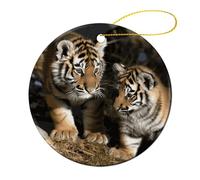 2 Pcs Ceramic Christmas Ornaments 2.8 Inch - Siberian Tiger Double Sided Round Holiday Tree Hanging Decor for Home, Party, Hotel Decorations, Gift for Teacher, Neighbor, Friend