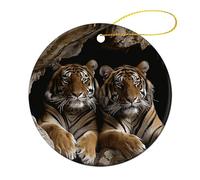 2 Pcs Ceramic Christmas Ornaments 2.8 Inch - Tiger in Cave Double Sided Round Holiday Tree Hanging Decor for Home, Party, Hotel Decorations, Gift for Teacher, Neighbor, Friend