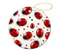 2 Pcs Ceramic Christmas Ornaments - Red Ladybug Round Double Sided Porcelain Hanging Decor for Xmas Tree, Holiday Home Decor and Gift Party Decorations (2.8 Inch)