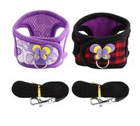 2 Pcs Chinchilla Harness and Leash Set - Small Animal Walking Vest for Guinea Pig, Hamster, Squirrel, Ferret - No Pull Soft Comfort Vest for Similar Small Pets (S)