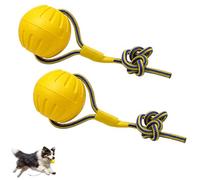 2 Pcs Dog Ball on Rope, Ball on a Rope for Dogs, Interactive Dog Rope Toy