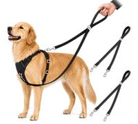 2 PCS Double Ended Lead for Dogs No Pull Two Point Control Training Leash