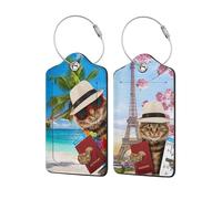 2 Pcs Durable Luggage Tags, Leather Cruise Ship Luggage Tags with Privacy Cover Label Address Card and Durable Metal Ring Suitable for Men Women Handbags Backpacks,(Funny Cat Passport)