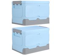 2 Pcs Foldable Storage Boxes Plastic Containers for Homes and Trunks