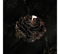 2 Pcs Gilded Candles for Wax Play Low Heat, Low Temperature Body Safe Drip Peony Candles, Romantic Massage Soy Rose Candles Couple (1, Gilded Black Peony)