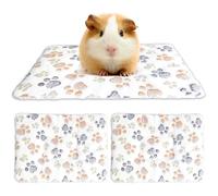 2 Pcs Guinea Pig Bed, 35x28cm Washable Rectangular Coral Fleece Pet Bed Mat Rabbit Bed Pad High Absorbency Hamster Sleeping Pad Small Pet Pad Layered for Bunny Chinchilla Squirrel Hedgehog Puppy