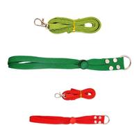 2 Pcs Harness and Leash Set, Adjustable Small Animal Walking Harness with Safety Metal D-Rings, for Meerkat Marmot Raccoon Outdoor Training, Green and Red, Dual Colors for Easy Replacement