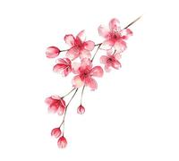2 pcs Japanese Cherry Blossom Temporary Tattoo Waterproof Clavicle Antique Flower Plum Blossom Peach Blossom Beautiful Small Fresh Simulation Tattoo