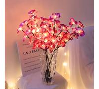 2 PCS LED Lighted Twig Branches 40 LED Beads Warm White Colored Battery Operated Decorative Branch Lights for Vase Bedroom Restaurant Coffee Bar Library Party Photo Background 70CM