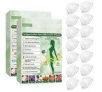 2 PCS Moringa 10-in-1 Advanced Nano Microneedle Plaster, Moringa Patches, Nano Microneedle Patche for Weight Loss, Abdominal Shaping Care, Advanced Formula for Skin Texture Improvement
