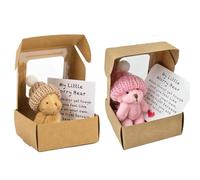 2 PCS My Little Worry Bear in a Box, Mini Plush Bears Gift Set, Worry Bear in a Box for Kids, Women, Friends & Family, Emotional Support Gift for Birthdays, Christmas & Valentine's Day